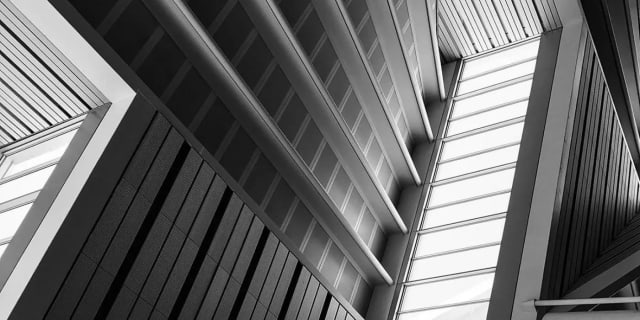 Data Science and Machine Learning: How to Drive Innovation