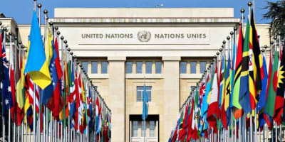 United Nations (UN) released Practical Manual on Transfer Pricing for Developing Countries 2021