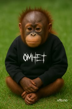 Ømhet