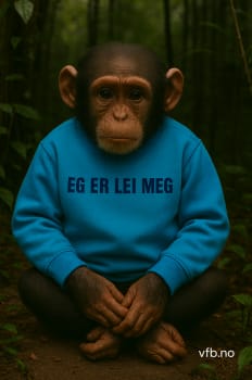 Eg er lei meg