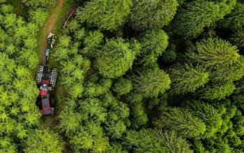 Biologisk nedbrytbare oljer