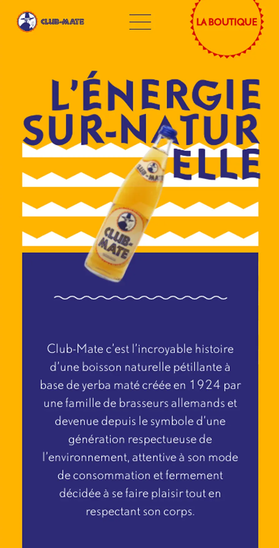 smartphone view of the study case