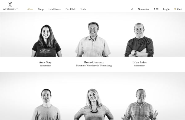 never-better-westmount-wine-website-profiles-layout