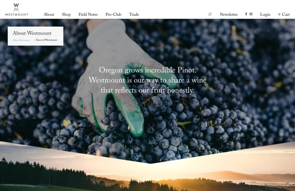 never-better-westmount-wine-website-homepage-layout