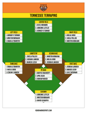 Depth chart on a green and brown field diagram with an orange tiger logo header, three players ranked at each position