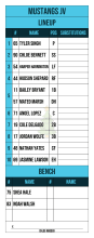 Sky blue JV lineup card with Christmas tree watermark, ten-spot batting order with first baseman and DH sharing fifth, bench and signature
