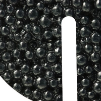 Logo + Magic Caviar