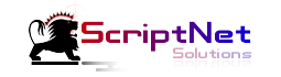 ScriptNet Solutions