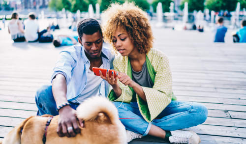 Taking a video of a dog