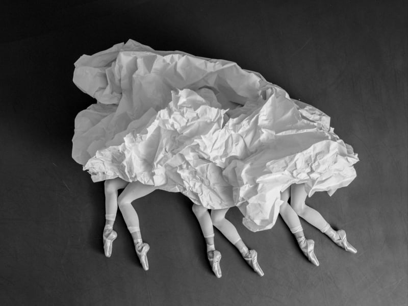 アート・デザイン・音楽 Photographs of the New York City Ballet アート・デザイン・音楽 Photographs of the New York City Ballet