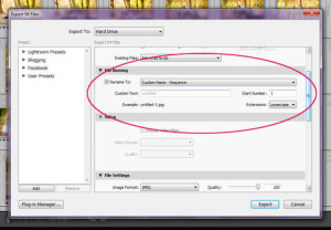 Rename_Export_1_large
