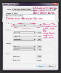 Rename_Import_2_large