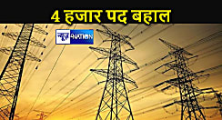 बिजली कंपनी में जल्द होगी 4 हजार पदों पर नियुक्ति, ऑपरेटर, जूनियर लाइनमैन सहित इन पदों पर होगी बहाली