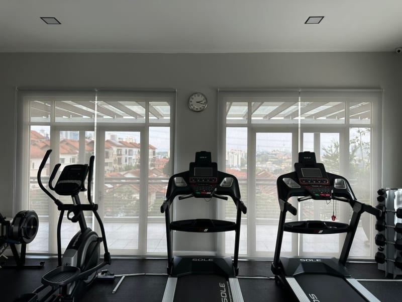 white sunscreen roller blinds lowered over two glass doors in a home gym, rooftops and skyline visible through the mesh