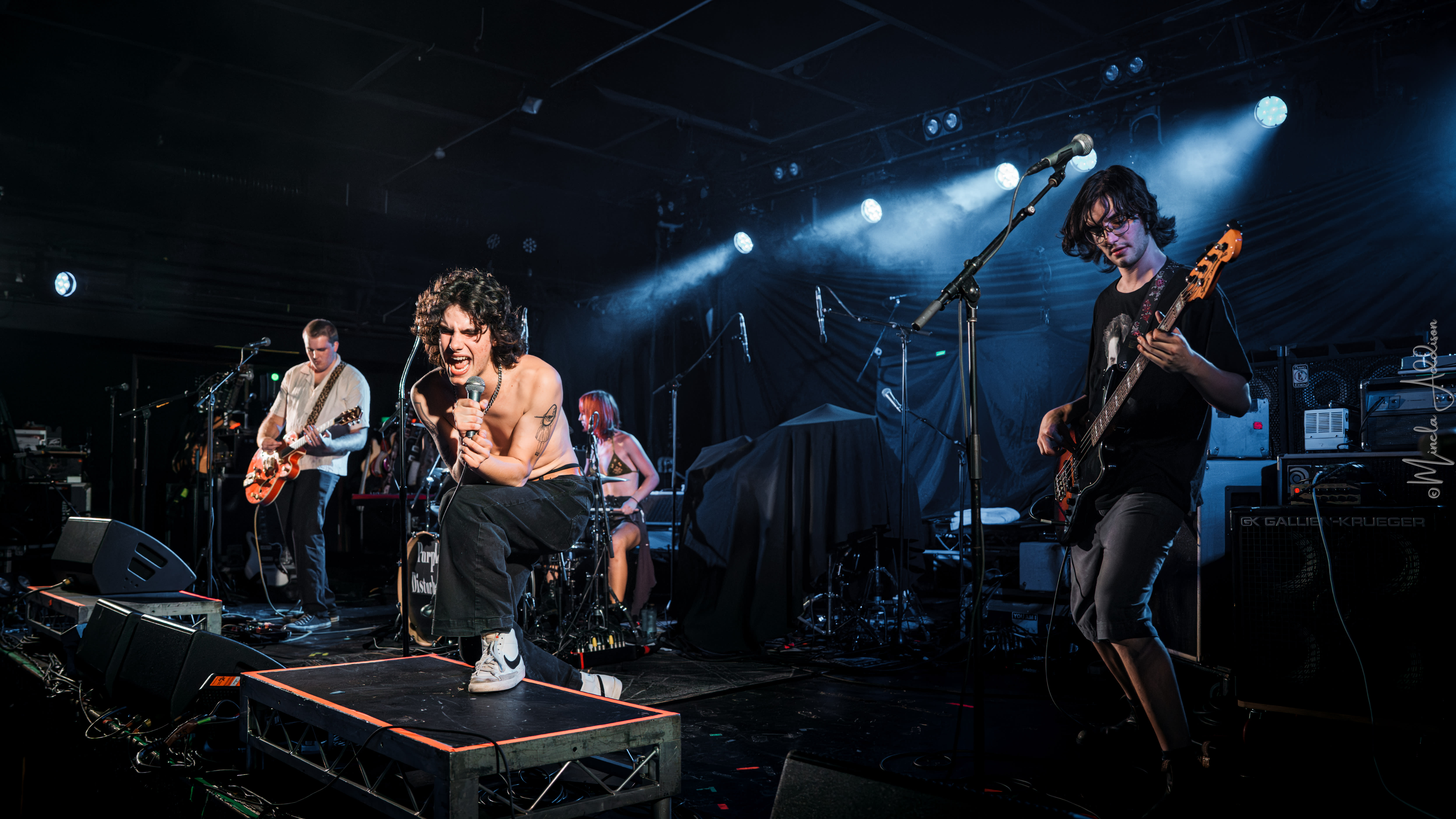 Purple Disturbance Cover Image