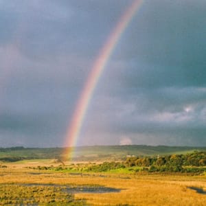 Mallrat's 'Groceries' In Billboard's 100 Best Songs Of 2018