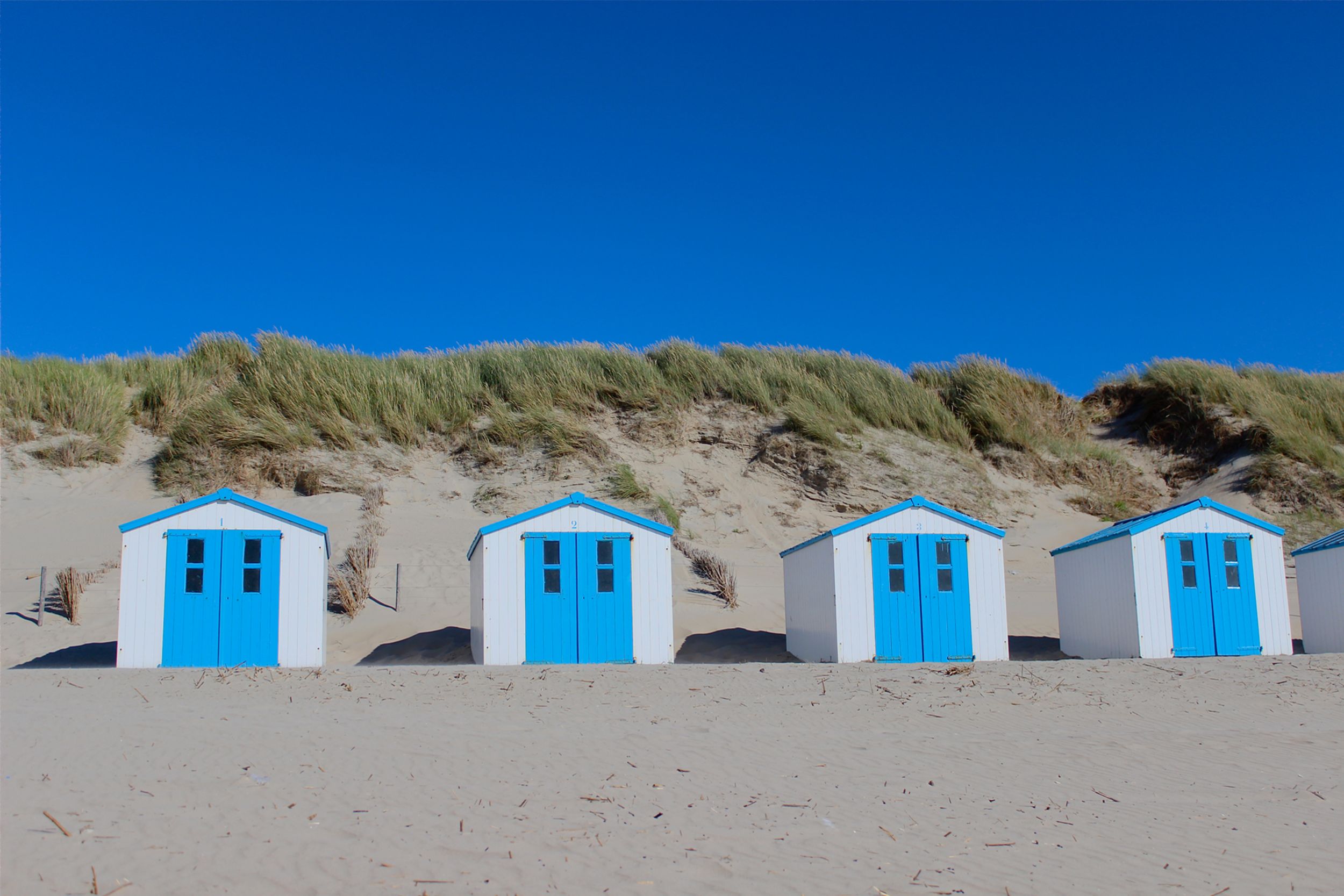 Camping Kogerstrand auf Texel | Camping direkt nemen Strand Camping Kogerstrand auf Texel | Camping direkt nemen Strand