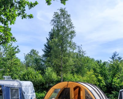 Camping in Holland ganzjhrig geffnet | RCN Ferienparks