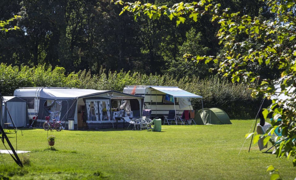 Ferienpark De Wiltzangh - Camping-Stellplatz - Comfortplaats - 3