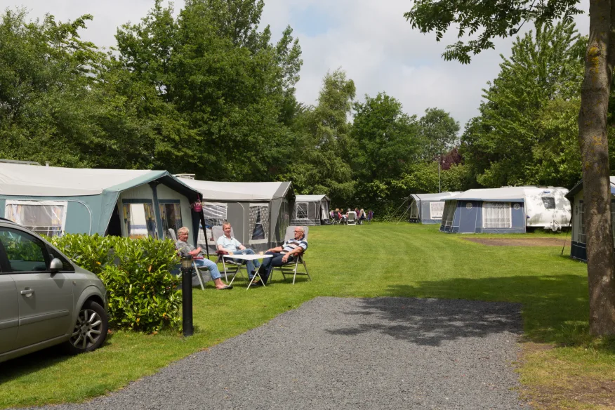 Accommodation Molengroet - Camp-site - Camping pitch Comfort - 2