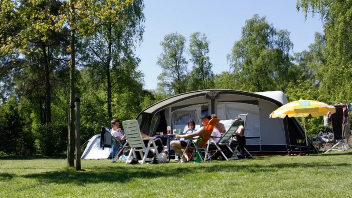 Accommodation Molengroet - Camp-site - Camping pitch Comfort - 3