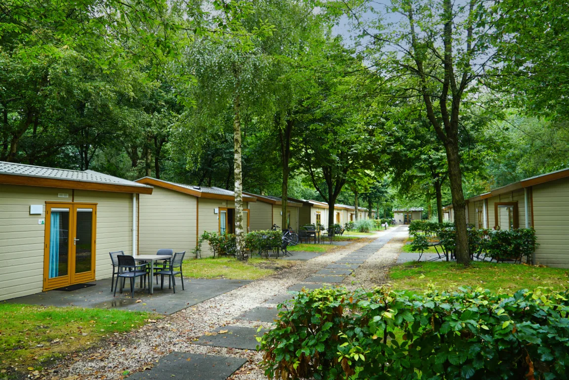 Accommodatie Het Amsterdamse Bos - Trekkershut - Forest Lodge 4 - 12