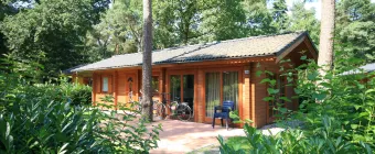 Accommodation Brunssummerheide - Chalet - Boekhorst 4 - 3