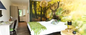 Accommodatie De Hooge Veluwe - Hotel-Studio - Comfort Room 2 - 6