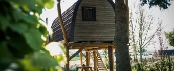 Vakantiepark Gulperberg - Special Accommodation - Treelodge 2 - 6