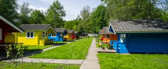 Unterkünfte Het Amsterdamse Bos - Trekkershut - Cabin 4 - 9