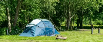 Accommodation Het Amsterdamse Bos - Camp-site - Camping pitch Standard - 10