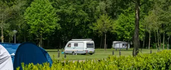 Unterkünfte Het Amsterdamse Bos - Camping-Stellplatz - Stellplatz Standard - 3