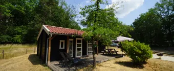 Accommodatie Ruinen - Chalet - Drentse kap 4 - 12