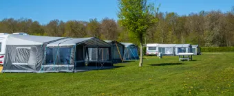 Accommodation Zuiderzee - Camp-site - Camping pitch Standard - 4