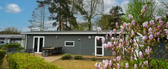 Accommodatie Maasduinen - Chalet - Unique Plus 6 - 4