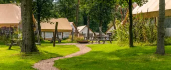 Unterkünfte Reestervallei - Glamping-Zelt - Glampingtent 4 - 7