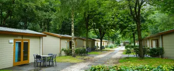 Accommodatie Het Amsterdamse Bos - Trekkershut - Forest Lodge 4 - 12