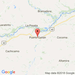 Localización de Puerto Gaitán en Meta