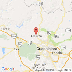 Localización de Tesistan en Jalisco