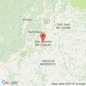 Localización de San Vicente del Caguan en Caquetá