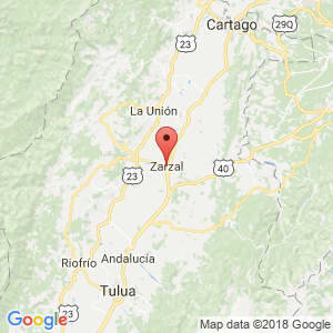 Localización de Zarzal en Valle del Cauca