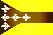 Bandera de Dorado, Arecibo