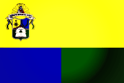 Bandera de Antolín Del Campo, Nueva Esparta