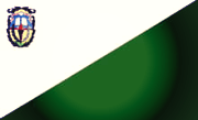 Bandera de Chiquimula, Chiquimula