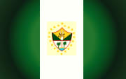 Bandera de Mazatenango, Suchitepéquez