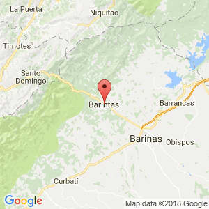 Localización de Barinitas en Barinas