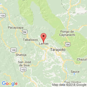 Localización de Lamas en San Martín