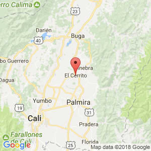 Localización de El Cerrito en Valle del Cauca