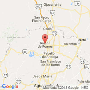 Localización de Rincón de Romos en Aguascalientes