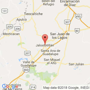 Localización de Jalostotitlán en Jalisco